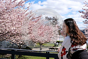 Canada Vancouver all people are photographed in parks against the backdrop of cherry blossoms a girl in a beautiful