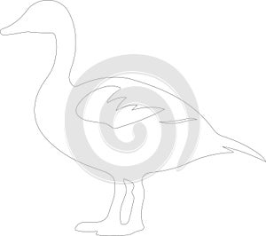 Canadagoose Outline Silhouette Generative Ai