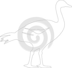 Canadagoose Outline Silhouette Generative Ai