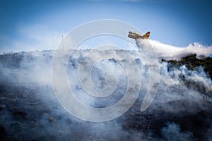 Canadair in action