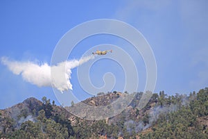 Canadair plane to fire photo