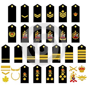 Canadian Army insignia