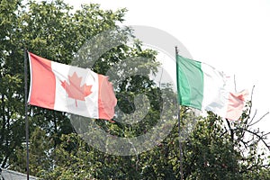 canadian canada flag and worn ripped italy italian flag or ireland irish flag. p