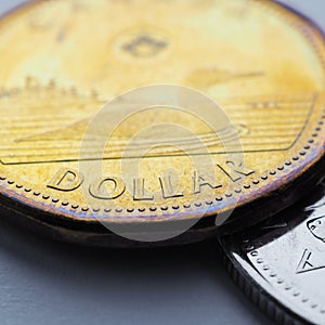 Canadian coins lie on white or gray surface. Money change of Canada. 1 dollar Canadian coin close-up. Square illustration about