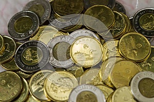 Canadian $1 dollar coins or loonie and $2 dollar coins or toonie