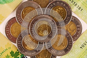 Canadian dollar currency coins. Circulating Canadian dollar coins or currency in the market. photo