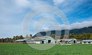 Canadian Farmland With Blue Cloudy Sky. Countryside Farm in the morning. Green agricultural field next to farm