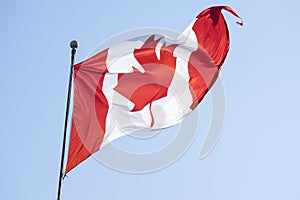 Canadian Flag Backlit