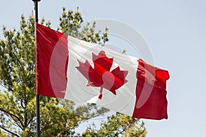 Canadian Flag flaps in the wind