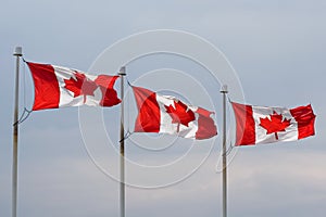 Canadian flag lineup