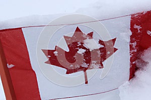 Canadian Flag in Snow