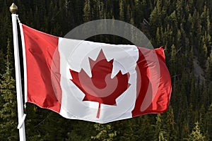 Canadian Flag Waving in the Wind