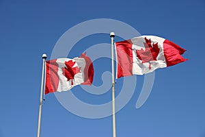 Canadian flags