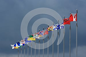 Canadian Flags with Dark Sky