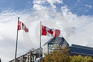 Canadian flags in the wind in front of blue sky