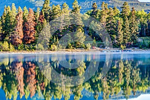 Canadian Landmark: Patricia Lake at Jasper National Park