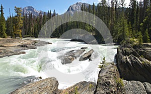 Canadian landscape with river and forest. British Columbia. Canada