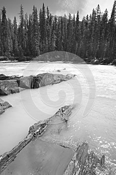 Canadian landscape with river and forest. British Columbia. Canada