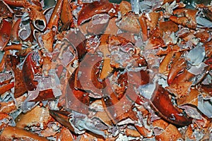 Canadian lobster shells mostly used as fertiliser and base for the seafood soups and stocks