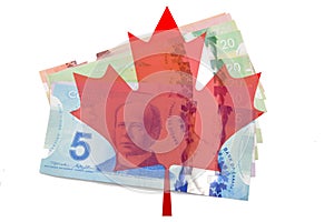 Canadian maple leaf with dollars on white background