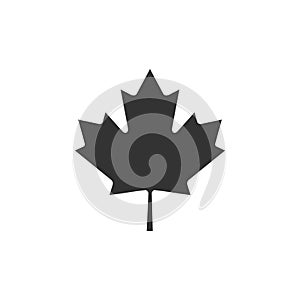 Canadian maple leaf icon isolated. Canada symbol maple leaf. Flat design