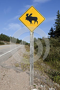 Canadian moose crossing sign