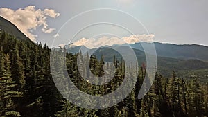 Canadian Mountain Landscape and Vibrant green trees. Fall Season. Aerial Nature Background