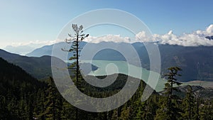 Canadian Mountain Landscape and Vibrant green trees. Fall Season. Aerial Nature Background