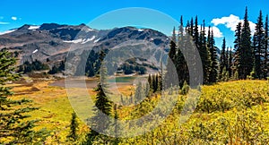 Canadian Nature Mountain Landscape Background.