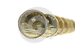 Canadian One Dollar Coin
