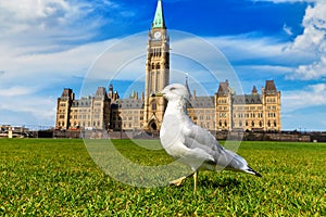 Canadian Parliament in Ottawa