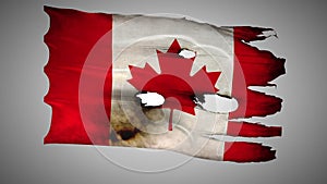 Canadian perforated, burned, grunge waving flag loop alpha