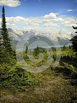 Canadian Rockies photo