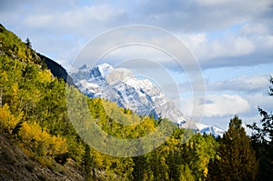 Canadian Rockies, Autumn Scenery of Icefields Parkway