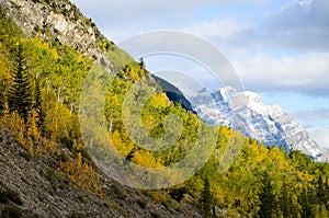 Canadian Rockies, Autumn Scenery of Icefields Parkway