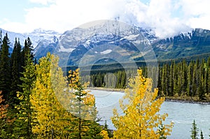 Canadian Rockies, Autumn Scenery of Icefields Parkway