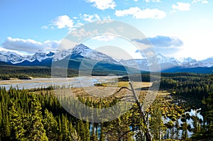 Canadian Rockies, Autumn Scenery of Icefields Parkway, Saskatchewan Crossing