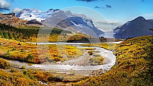 Canadian Rockies, Banff Jasper, Icefields Parkway, Athabasca Glacier photo