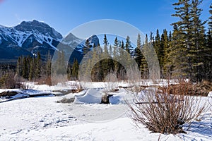 Canadian Rockies beautiful scenery during winter. Snowcapped mountain range, frozen forest.