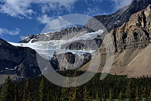 Canadian Rockies . Crowfoot Glacier