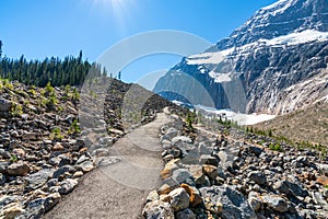 Canadian Rockies nature trails scenery. Jasper National Park beautiful landscape. Alberta, Canada.