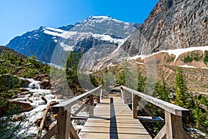 Canadian Rockies nature trails scenery. Jasper National Park beautiful landscape. Alberta, Canada.