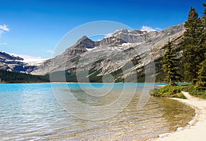 Canadian Rockies Panorama, Bow Lake
