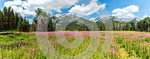 Canadian Rockies panorama in summer at th banff national park