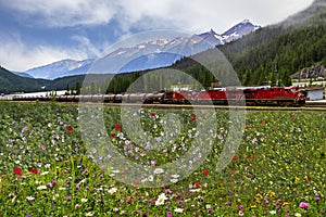 Canadian Rockies with a red train in the foreground, Alberta, Canada