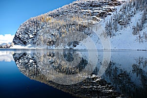 Perfect reflection of Big Beehive mountain with yellow larch trees and fresh snow in calm alpine lake.