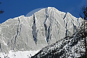 Canadian Rocky Mountains near Jasper, Alberta