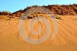 Canadian Sand Dunes Prince Eduard Island