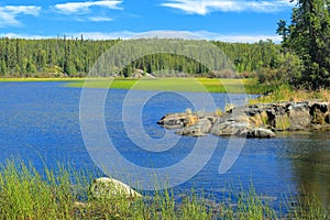 Canadian Shield Rock Outcroppings with Cameron River flowing through Reeds and Rocks, Hidden Lake Territorial Park, Canada