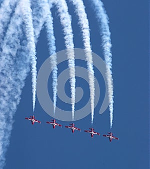 Canadian Snowbirds